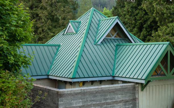 Best Steel Roofing  in Forsyth, MT
